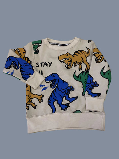 Dino Tracksuit